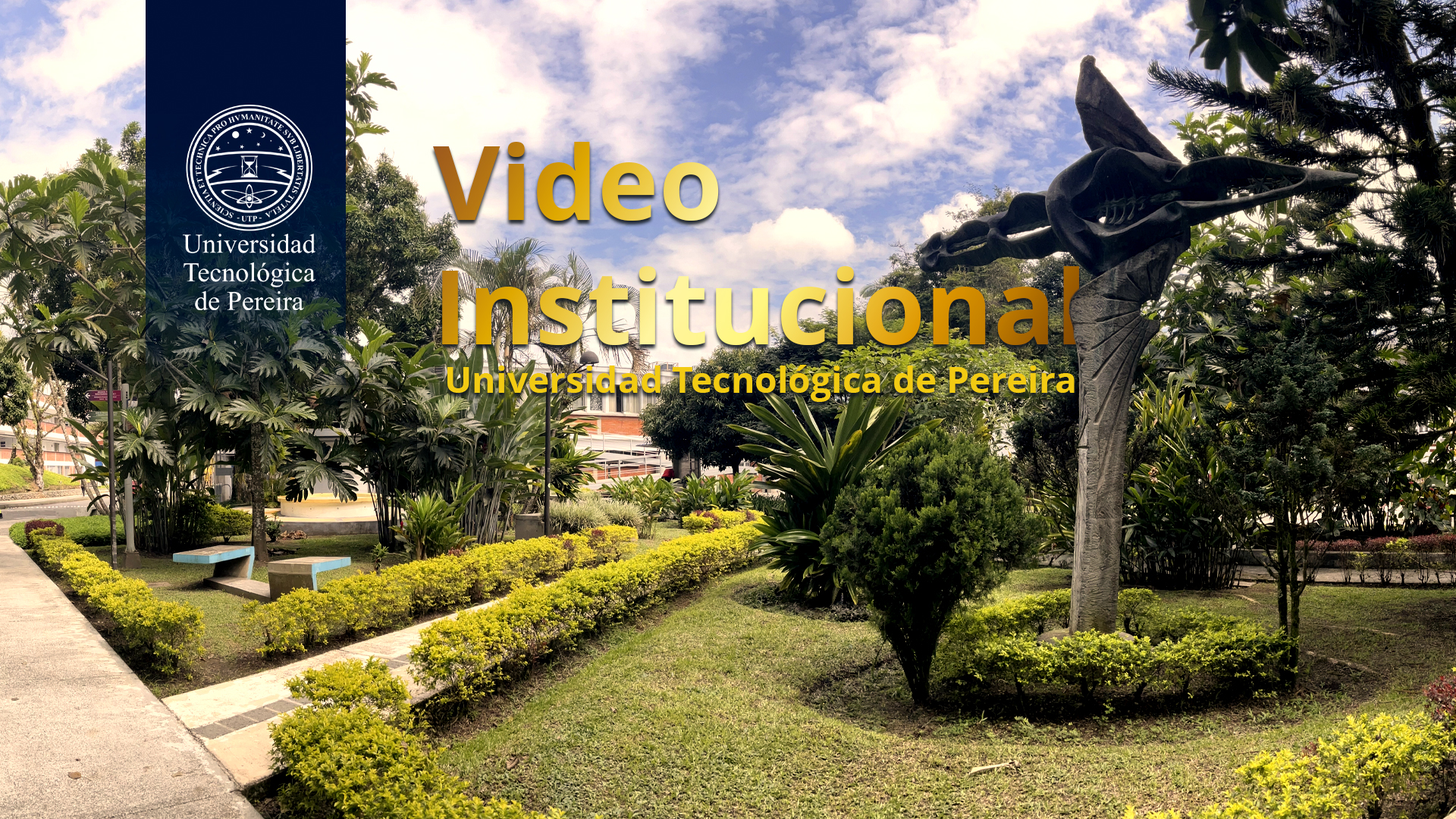 Pantalla video institucional