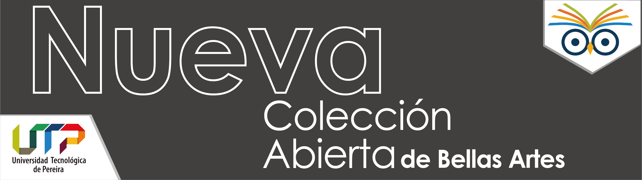 Banner - Nueva Colección Bellas Artes