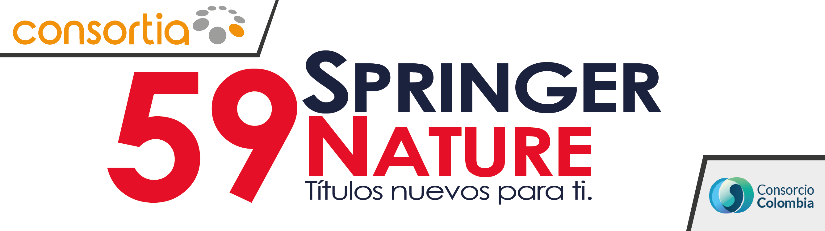 Banner - Springer Nature