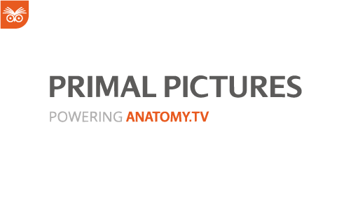 Imagen alusiva a Facultad Ciencias de la Salud