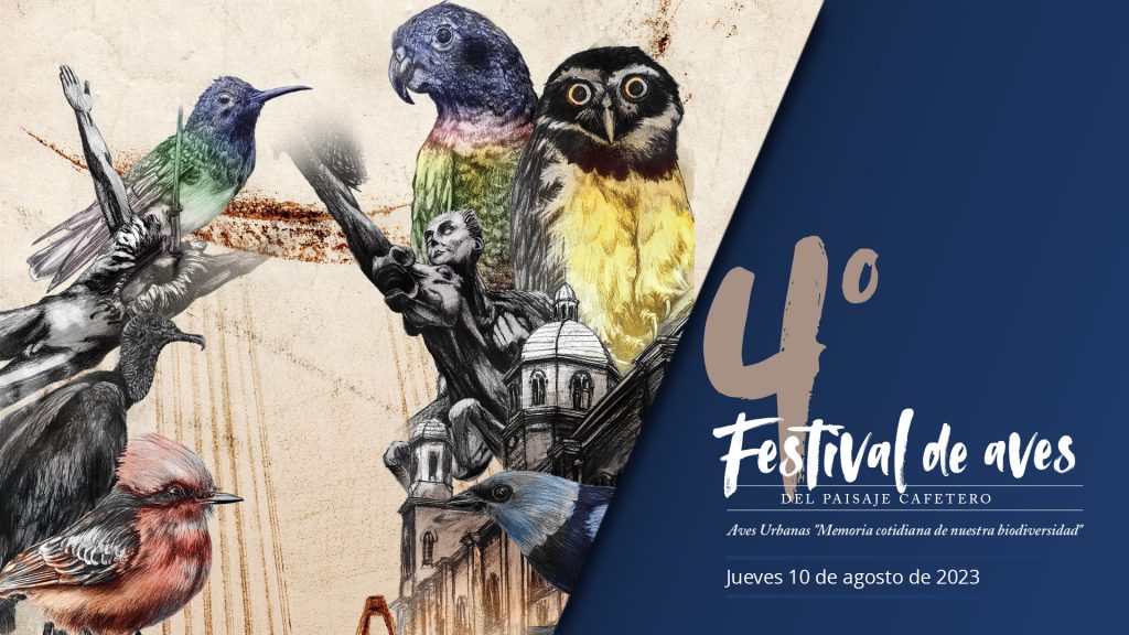 Festival Aves