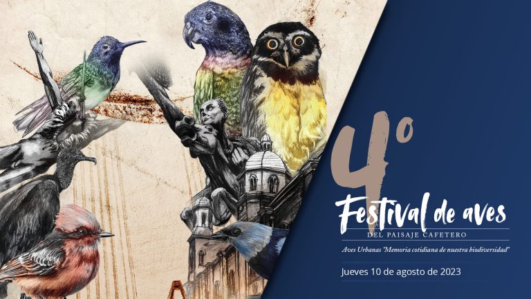4to Festival de Aves – Aves Urbanas «Memoria cotidiana de nuestra biodiversidad»
