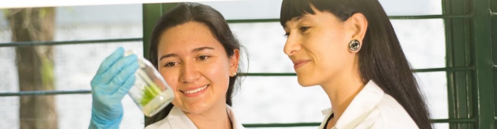 Investigación, Innovación y Extensión