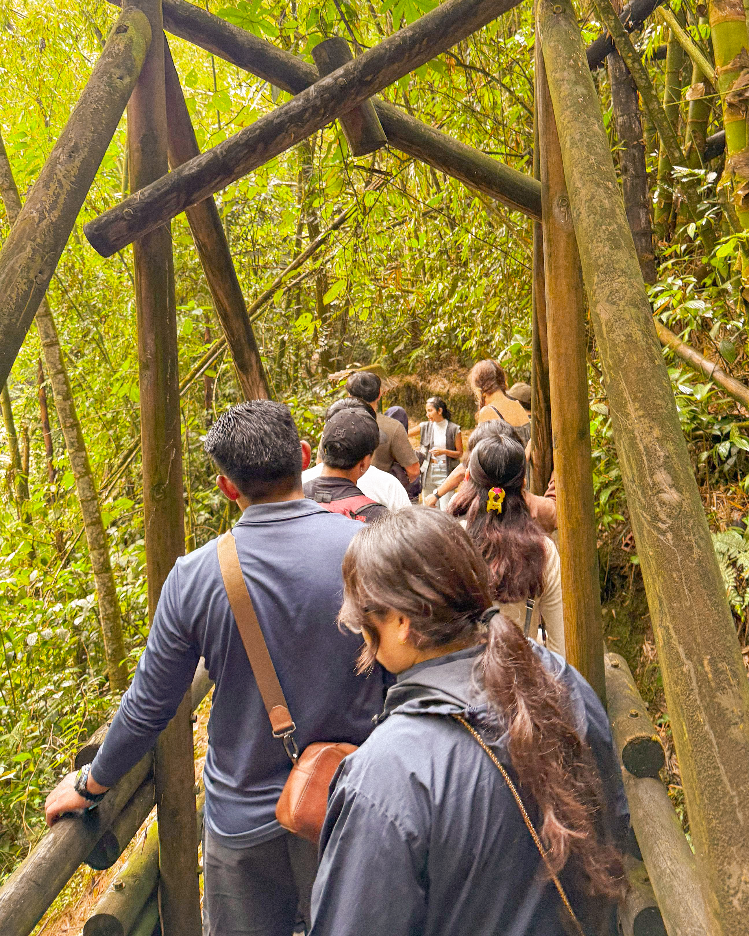Imagen alusiva a Estudiantes internacionales fortalecen su integración a la vida universitaria UTP