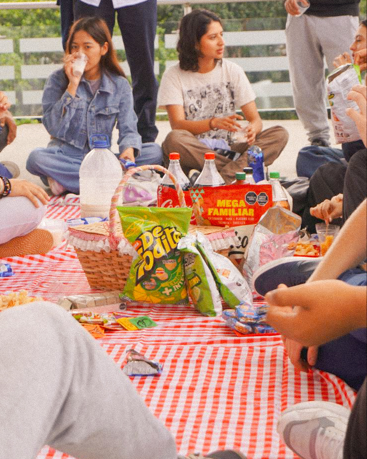 Imagen alusiva a Estudiantes internacionales fortalecen su integración a la vida universitaria UTP