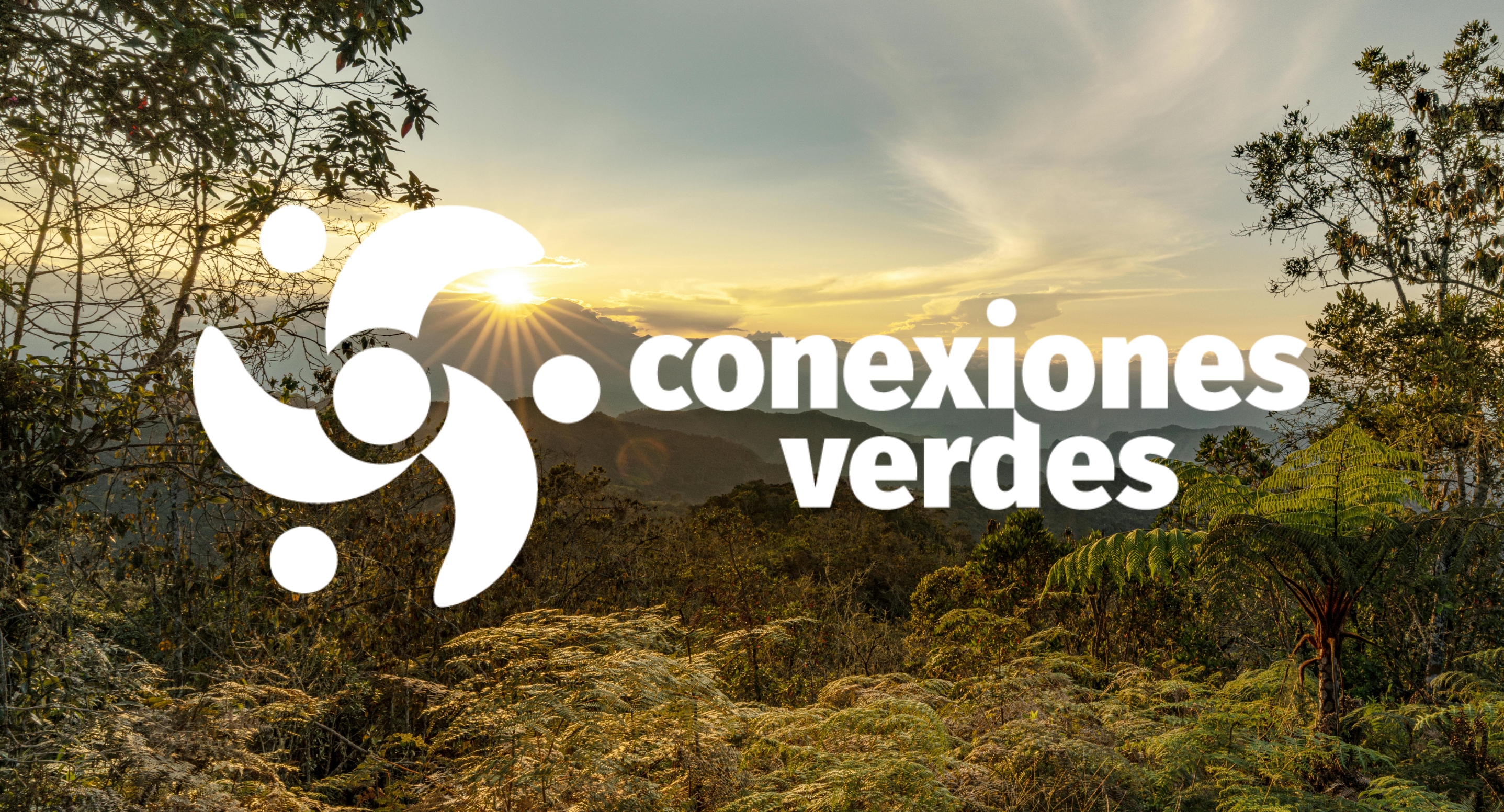 Escuela de Verano: Conexiones Verdes