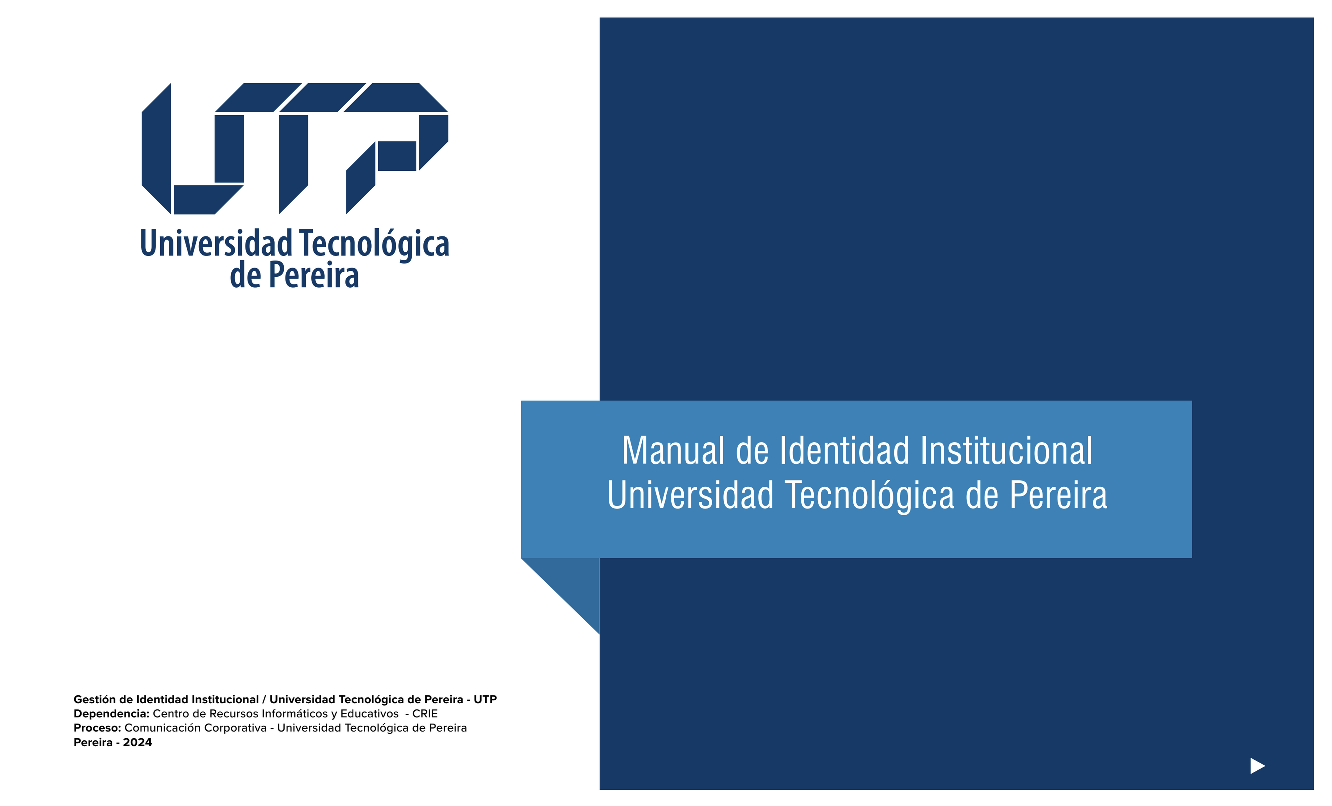 Manual De Identidad Institucional