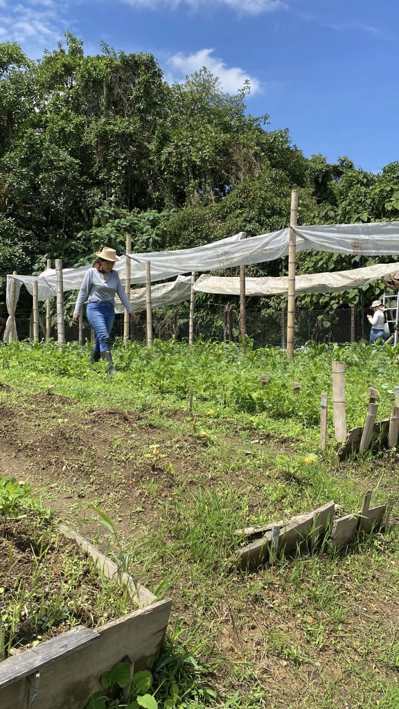 Imagen alusiva a Ciencias Agrícolas