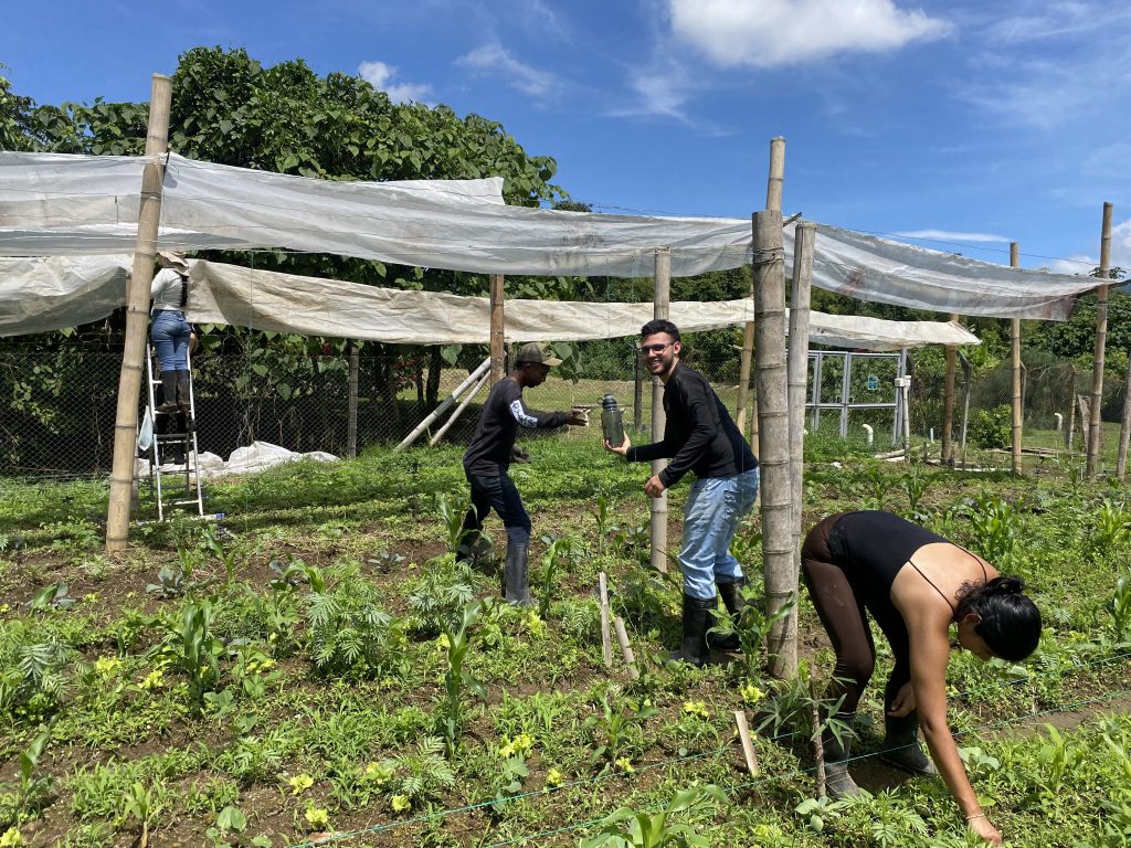 Imagen alusiva a Ciencias Agrícolas