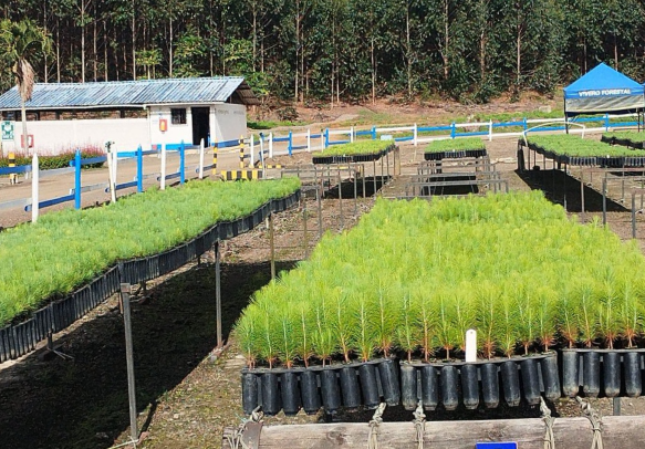 Imagen alusiva a Ciencias Agrícolas