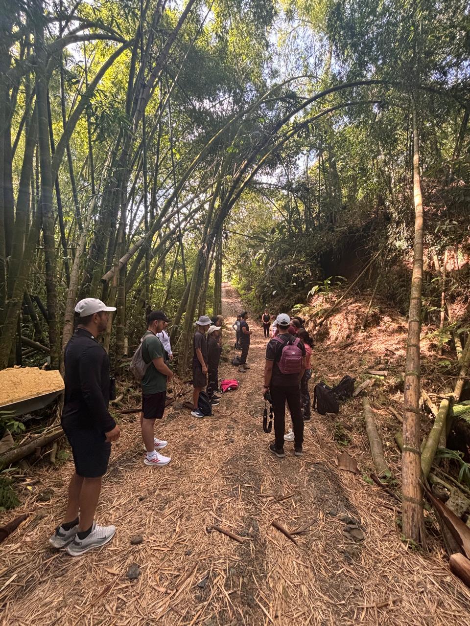 Imagen alusiva a Una caminata para conectar, compartir y celebrar