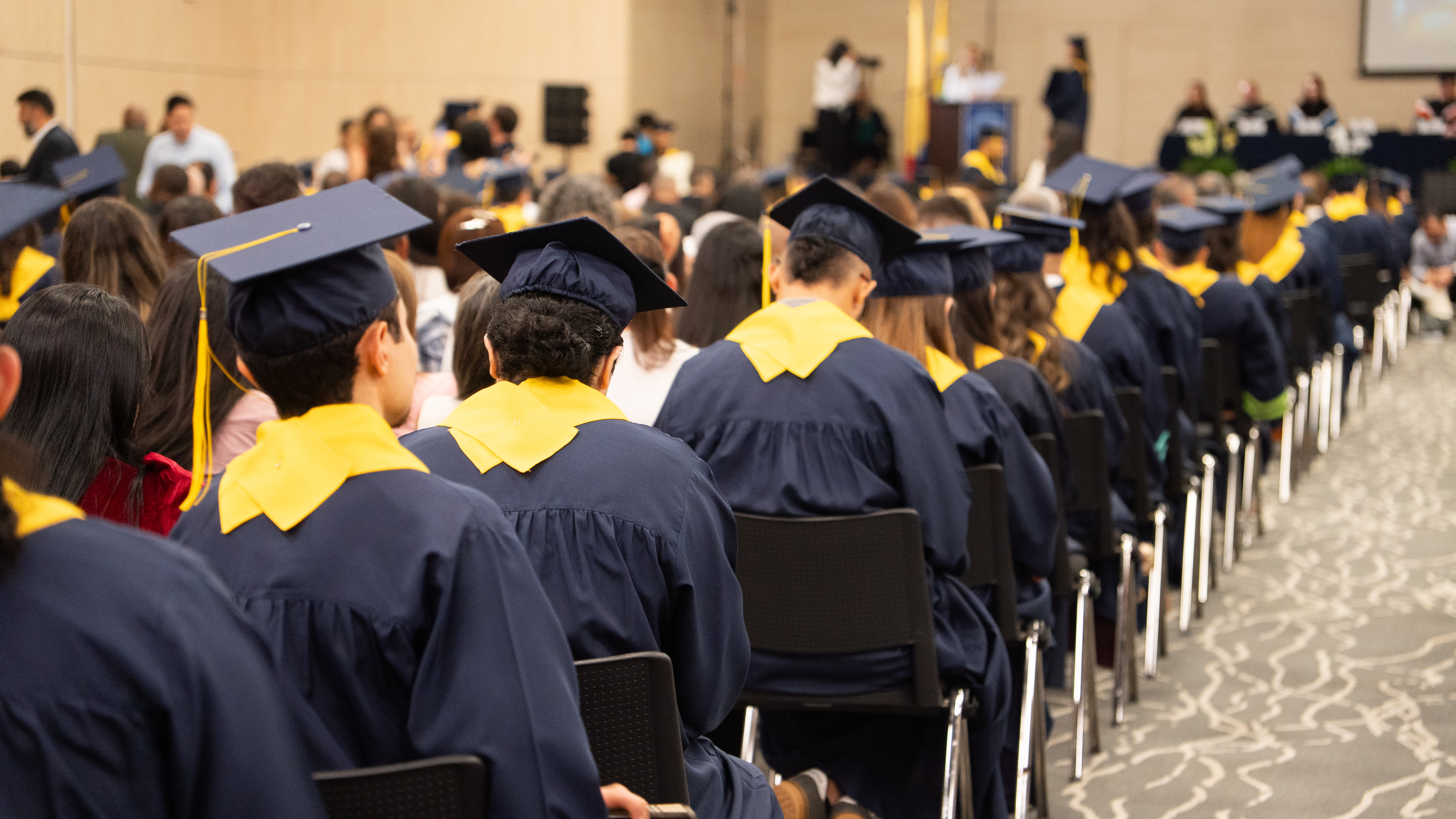 Imagen alusiva a Nuevos profesionales con sello de excelencia: Una jornada de orgullo y proyección en la UTP