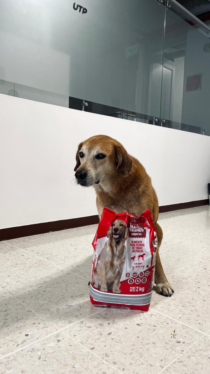 Imagen alusiva a Cierre Campaña Una Huella en tu Corazón