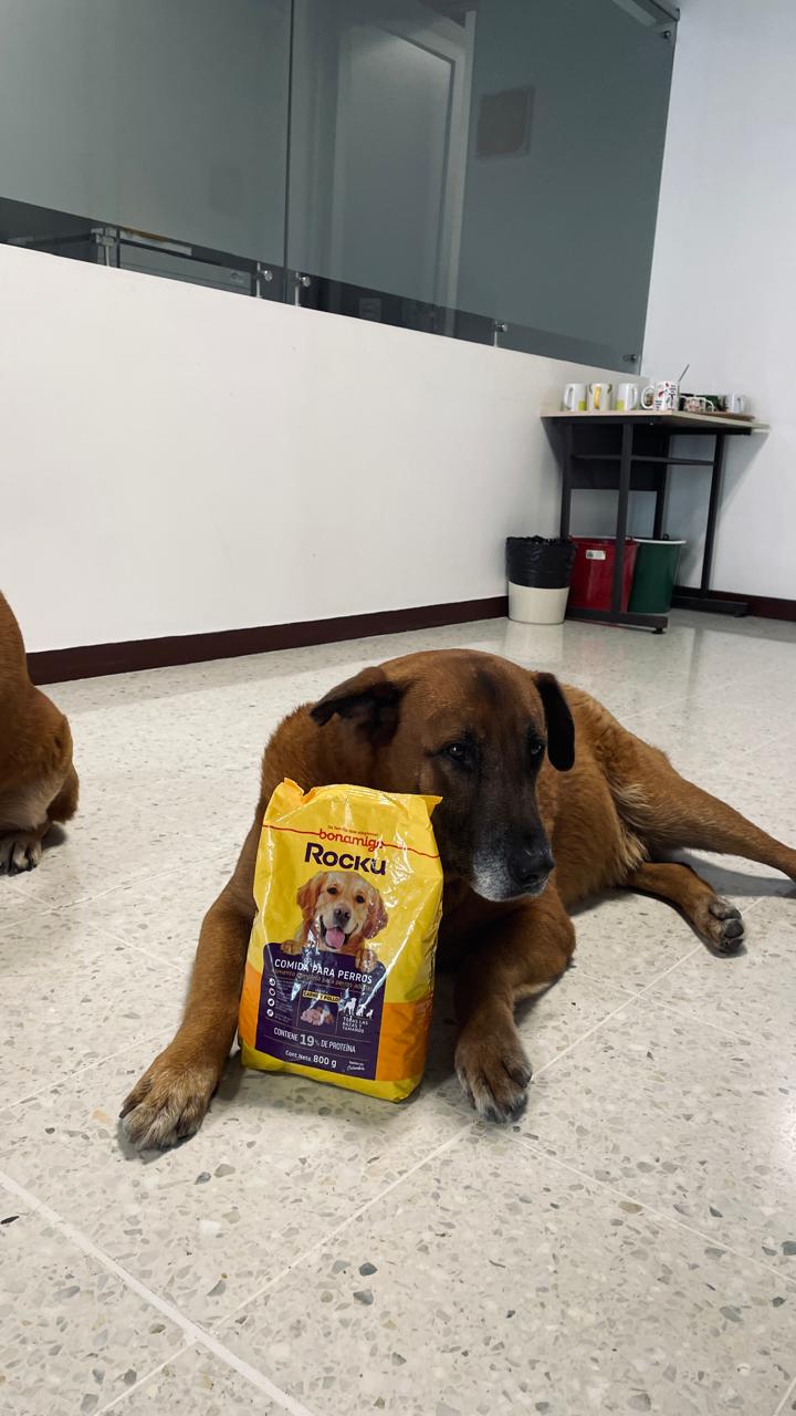 Imagen alusiva a Cierre Campaña Una Huella en tu Corazón