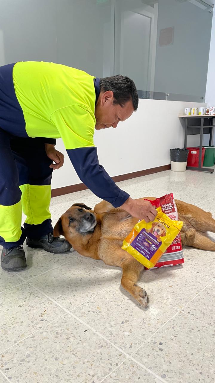 Imagen alusiva a Cierre Campaña Una Huella en tu Corazón