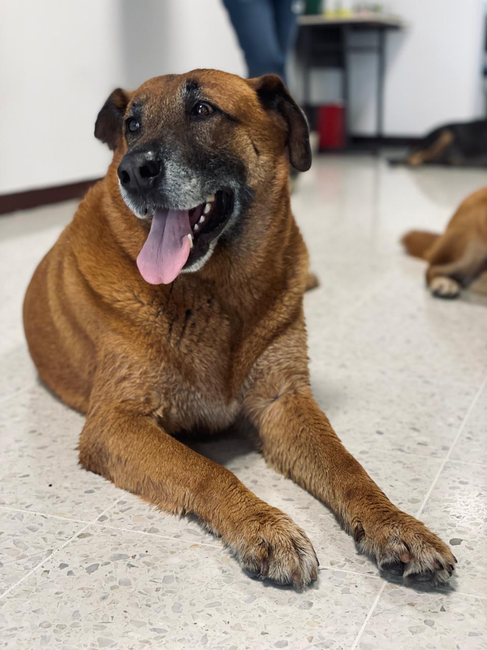 Imagen alusiva a Cierre Campaña Una Huella en tu Corazón