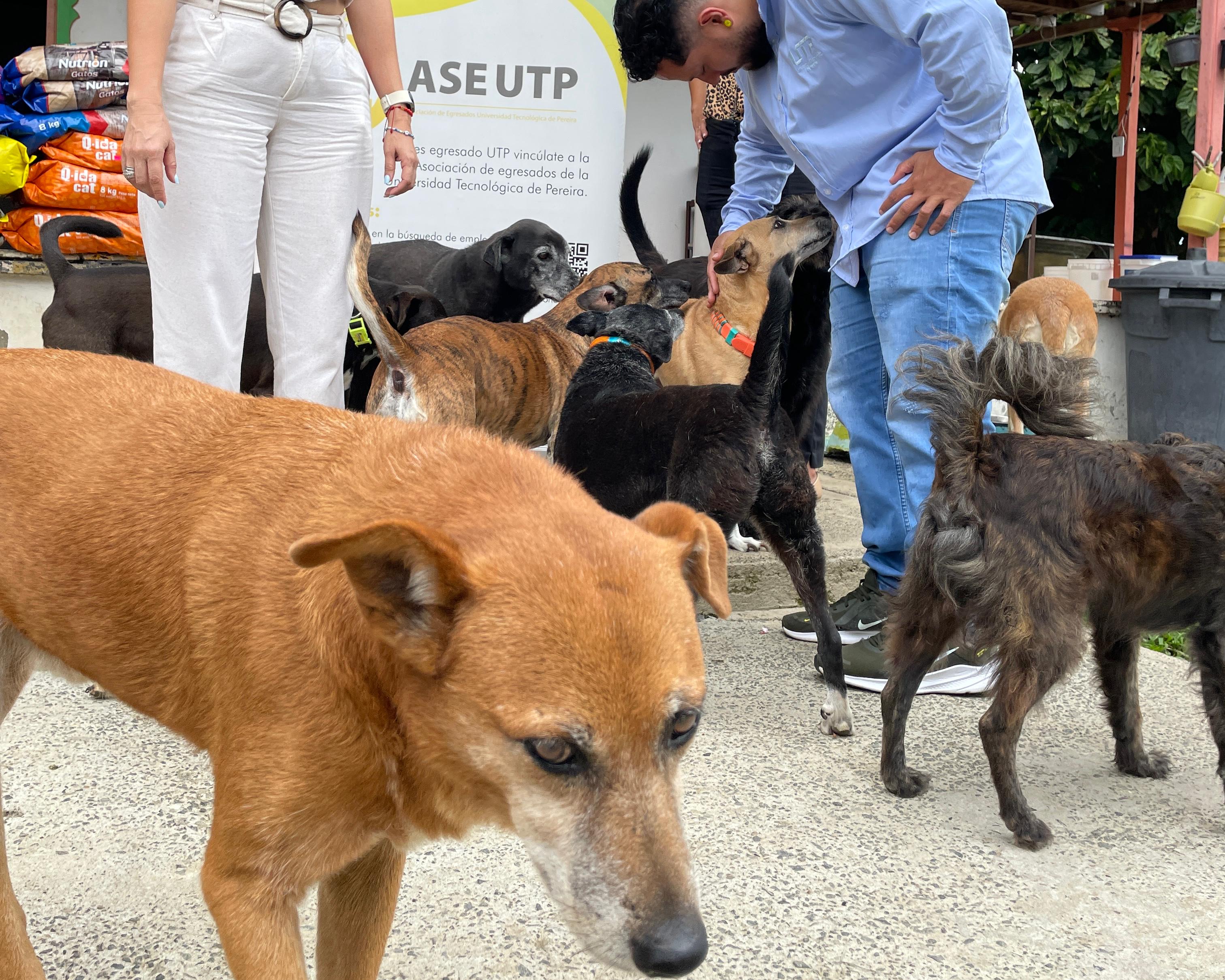 Imagen alusiva a Cierre Campaña Una Huella en tu Corazón