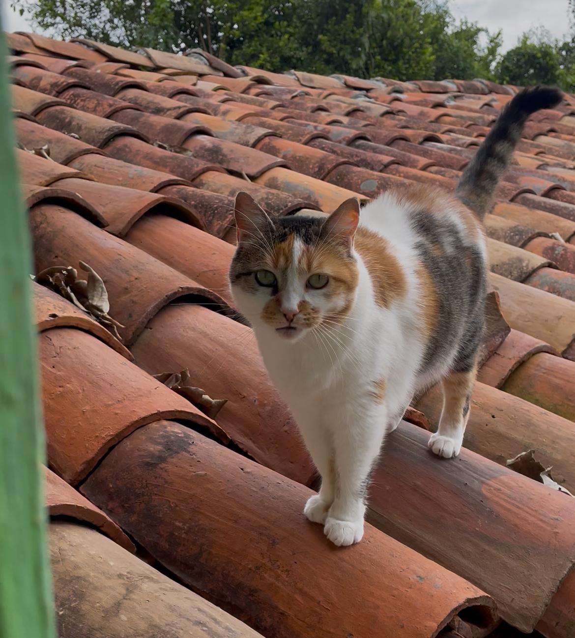 Imagen alusiva a Cierre Campaña Una Huella en tu Corazón