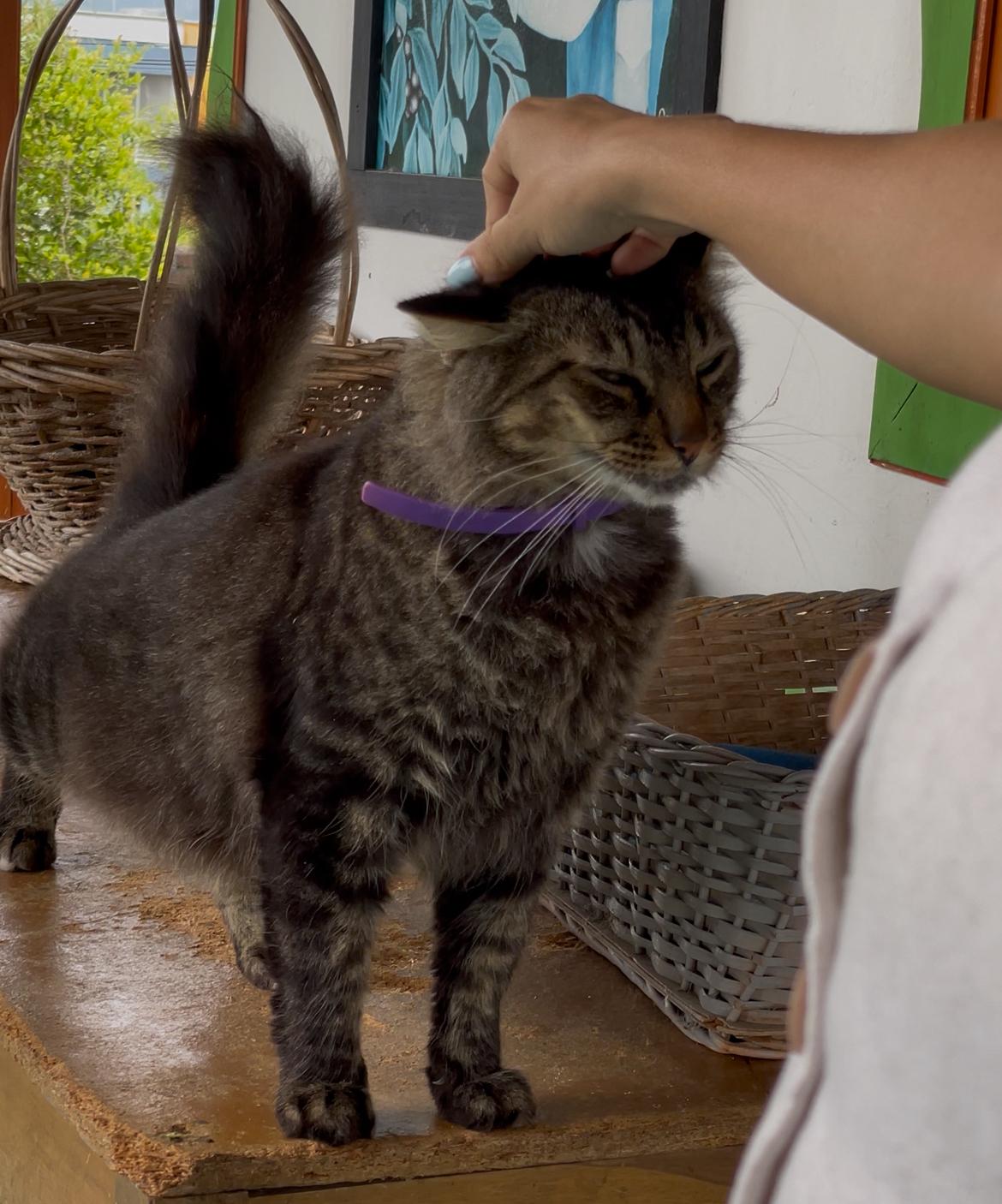 Imagen alusiva a Cierre Campaña Una Huella en tu Corazón
