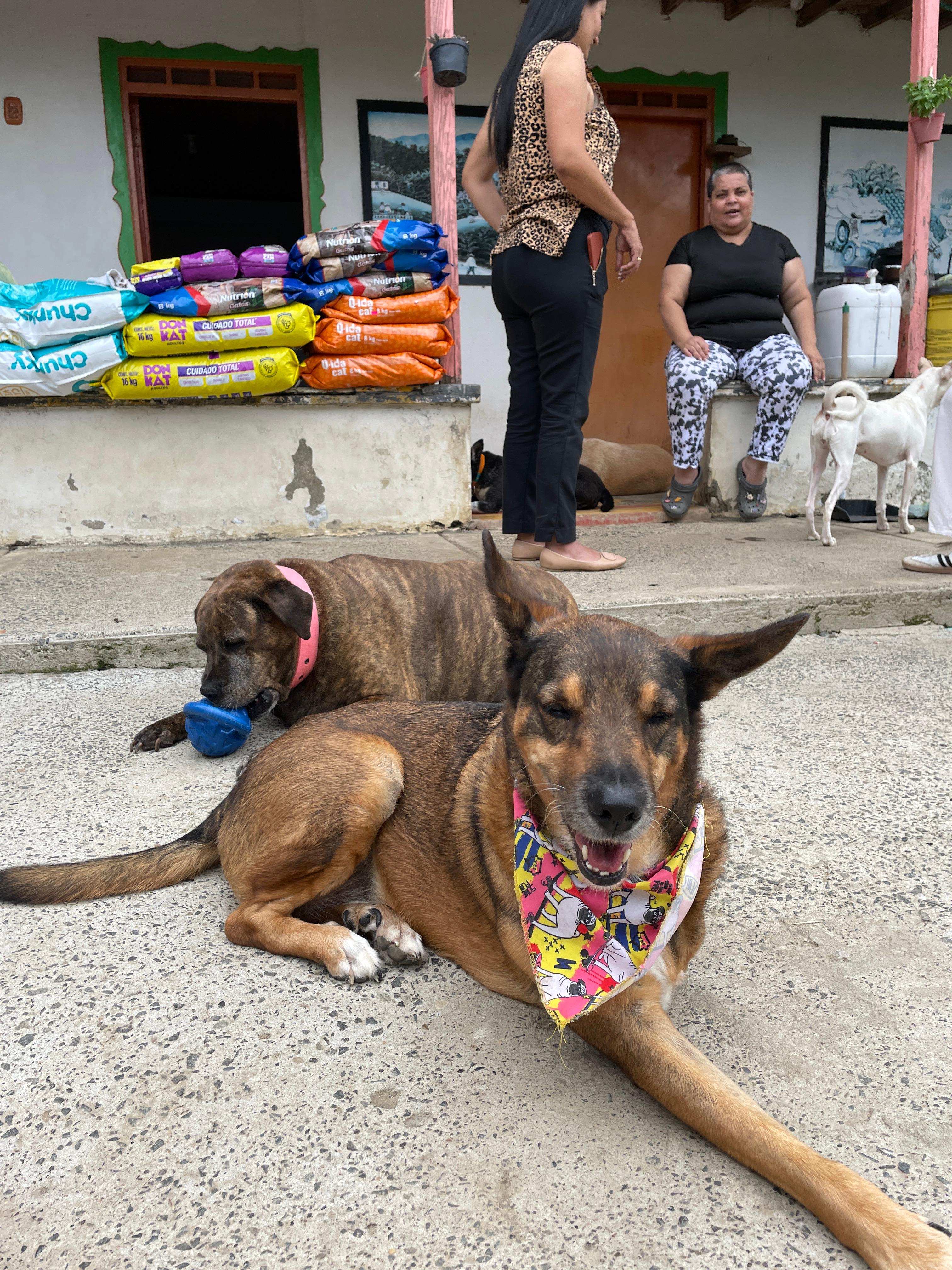Imagen alusiva a Cierre Campaña Una Huella en tu Corazón