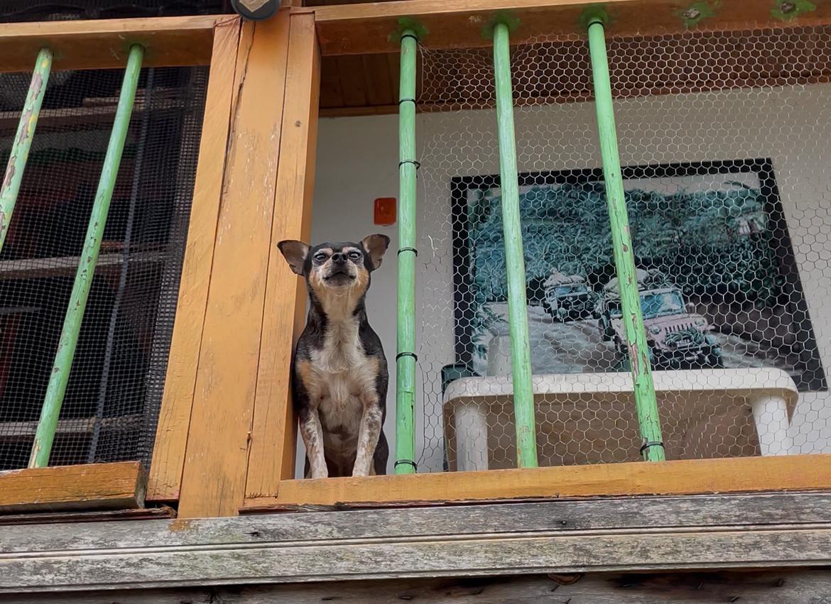 Imagen alusiva a Cierre Campaña Una Huella en tu Corazón