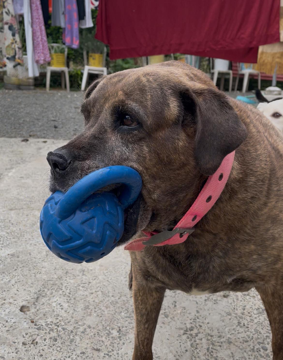 Imagen alusiva a Cierre Campaña Una Huella en tu Corazón