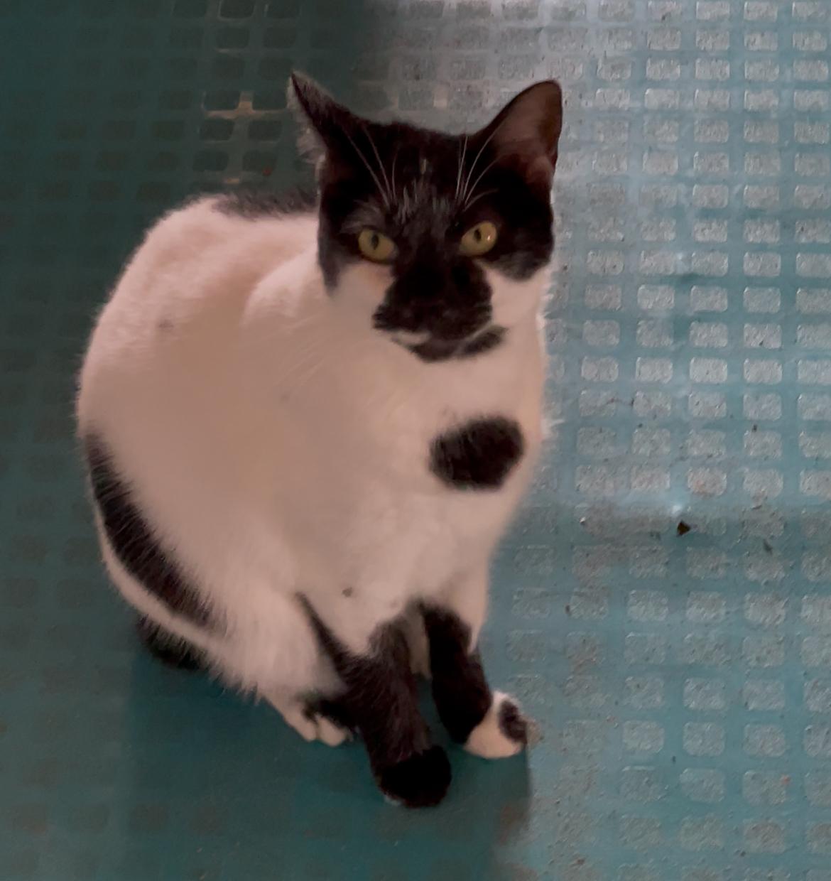 Imagen alusiva a Cierre Campaña Una Huella en tu Corazón