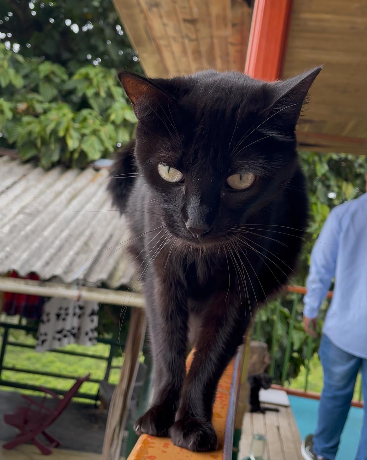 Imagen alusiva a Cierre Campaña Una Huella en tu Corazón