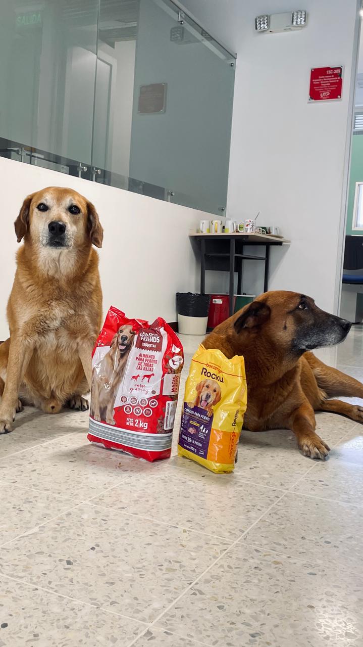 Imagen alusiva a Cierre Campaña Una Huella en tu Corazón