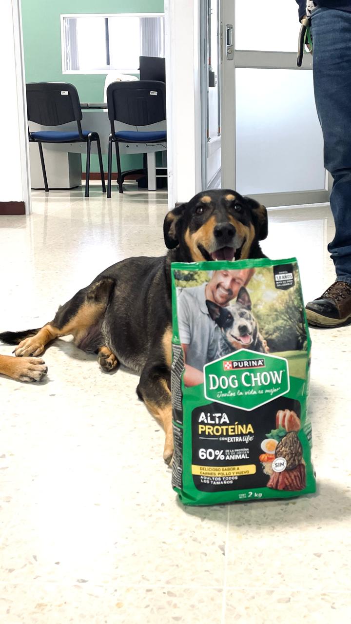 Imagen alusiva a Cierre Campaña Una Huella en tu Corazón