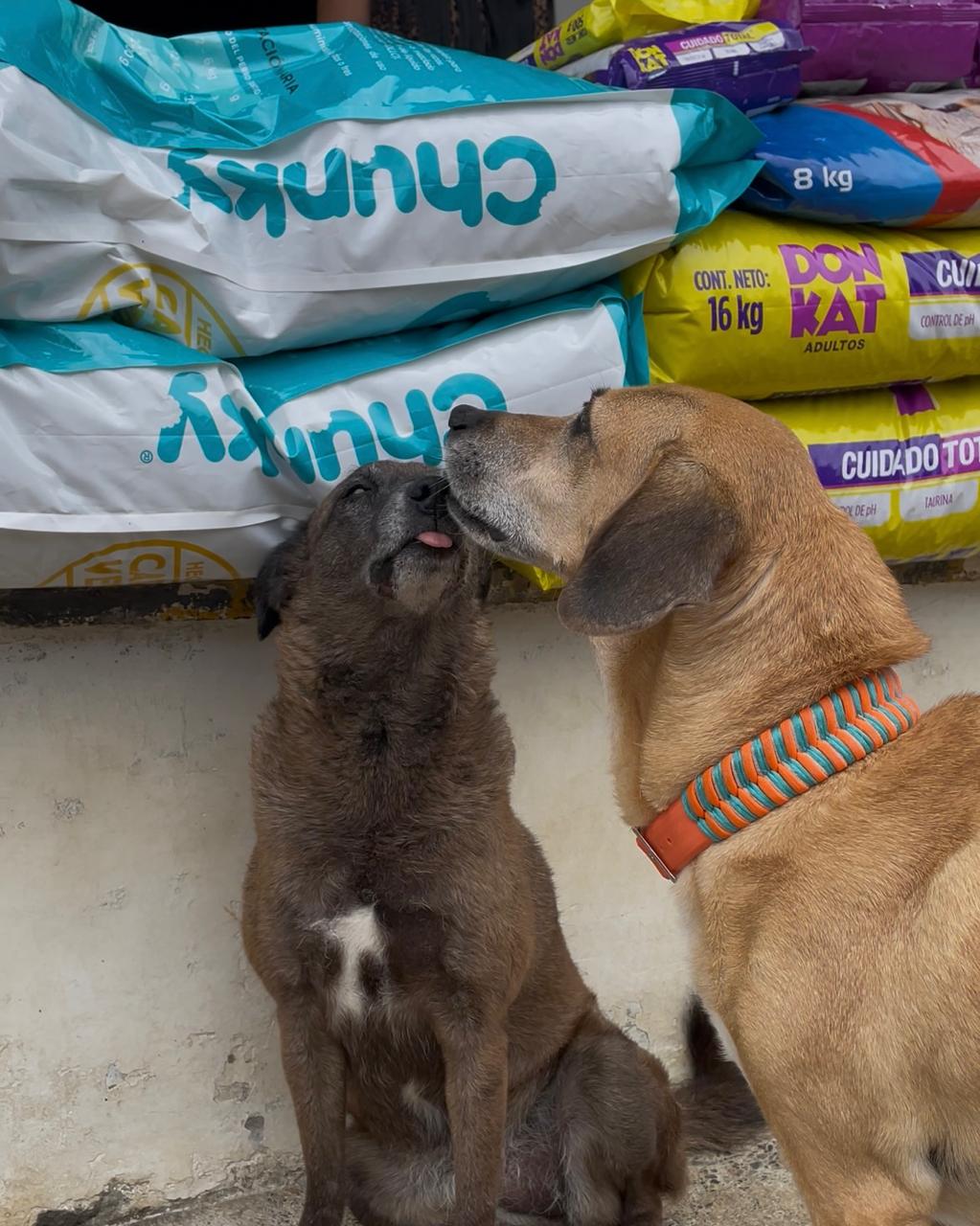 Imagen alusiva a Cierre Campaña Una Huella en tu Corazón