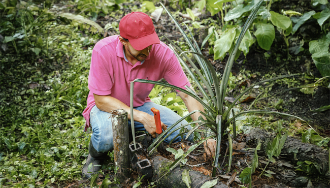 RECICLOTÓN UTP