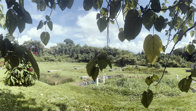 POLITICA AMBIENTAL UTP