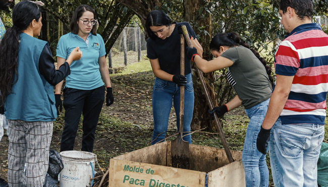 MERCADO AGROECOLÓGICO UTP