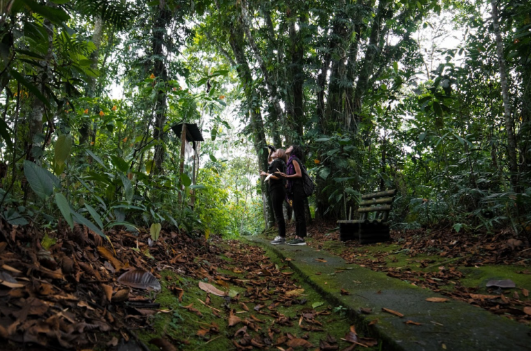 Curso Básico En Interpretación Ambiental