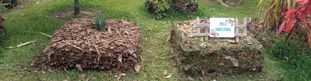 Banner Principal 3 - Centro Gestión Ambiental