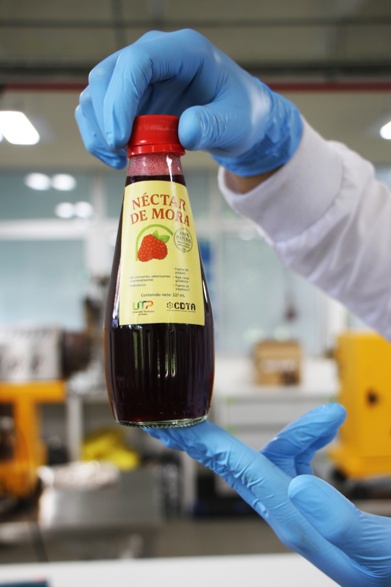 Imagen alusiva a Proyectos