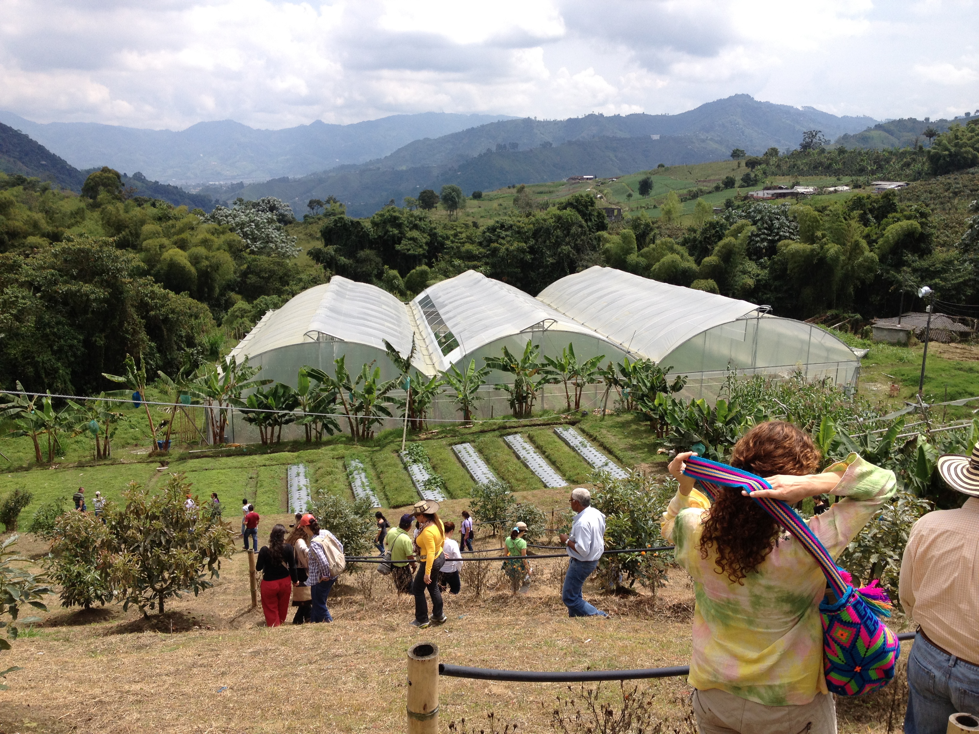 Imagen alusiva a El CDTA: la apuesta de la UTP por una agroindustria innovadora, sostenible y con impacto regional