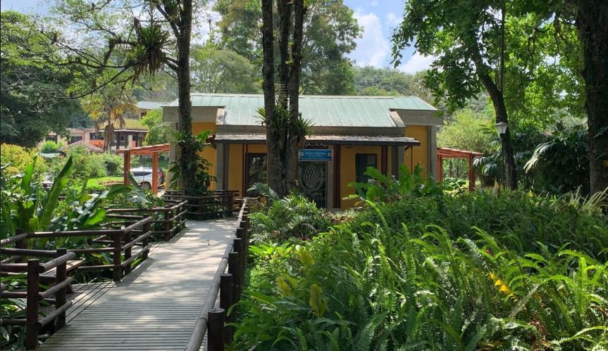 Imagen alusiva a Imágenes y videos