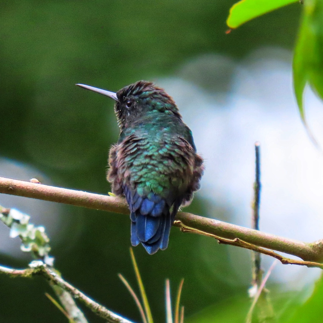 Imagen alusiva a Imágenes y videos