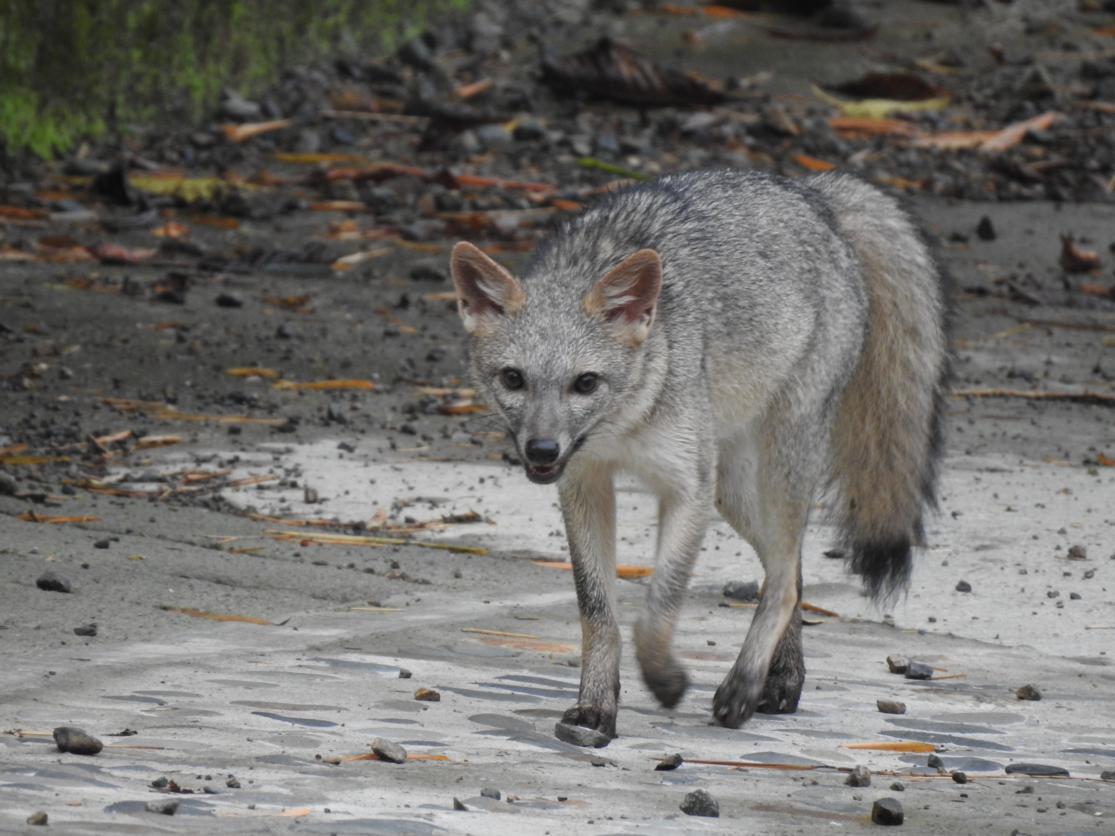 Imagen alusiva a Imágenes y videos