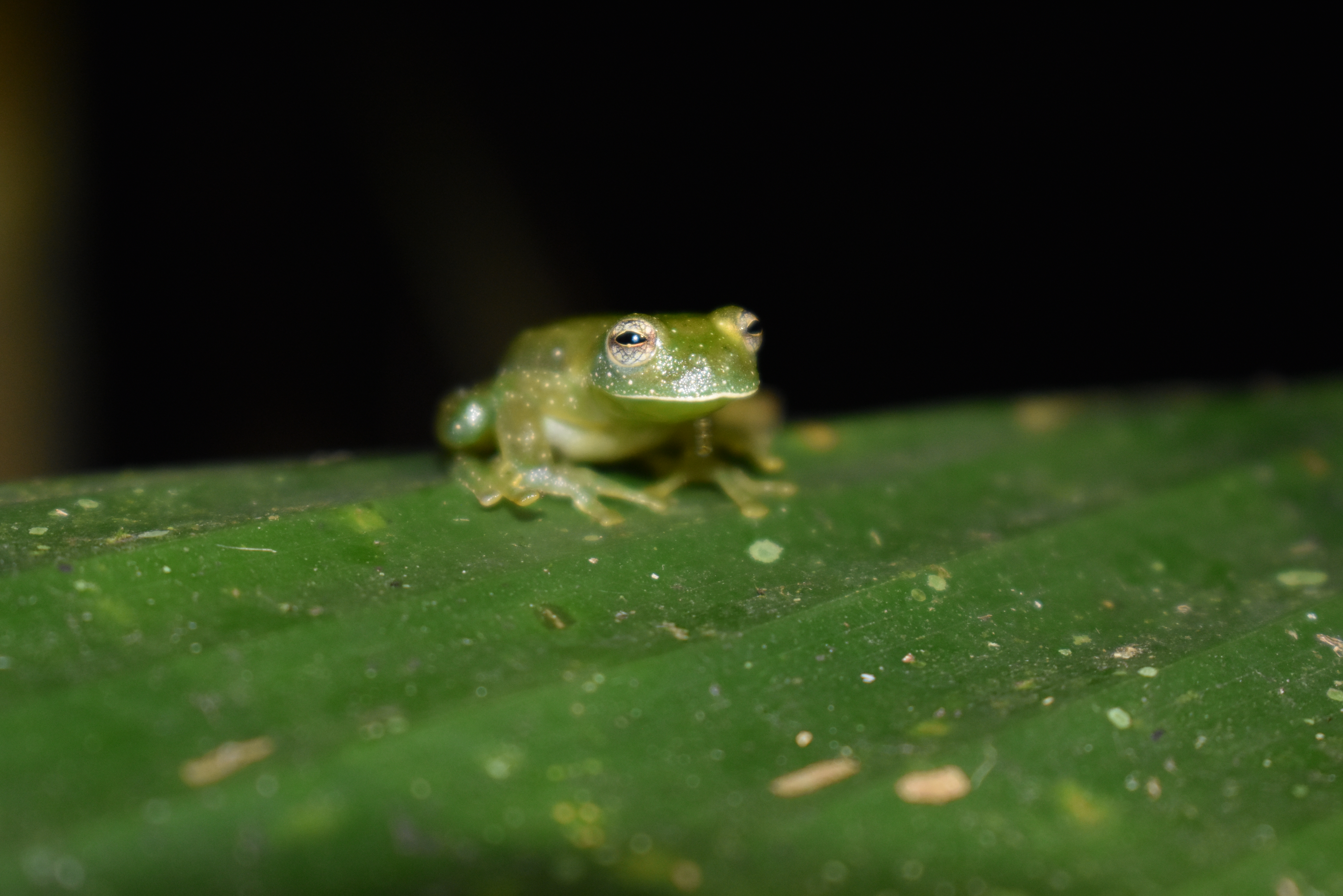 Imagen alusiva a Imágenes y videos