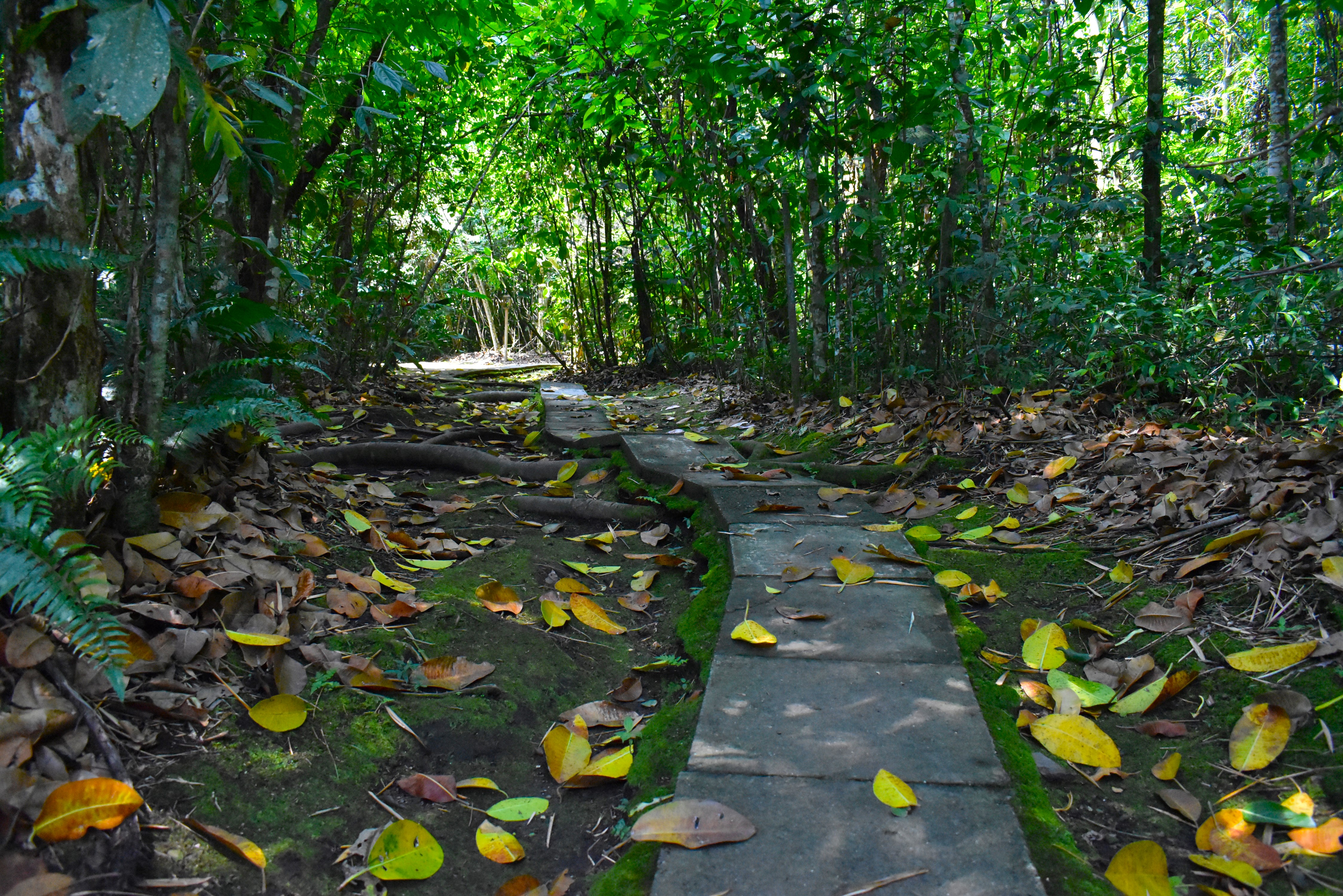 Imagen alusiva a Imágenes y videos