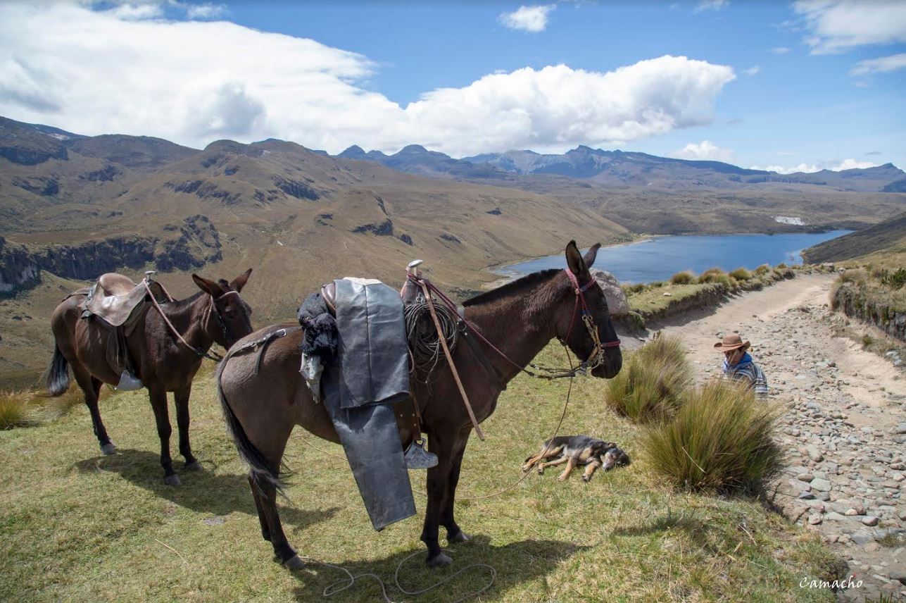 Imagen alusiva a Aguas & Aguas y UTP unen esfuerzos