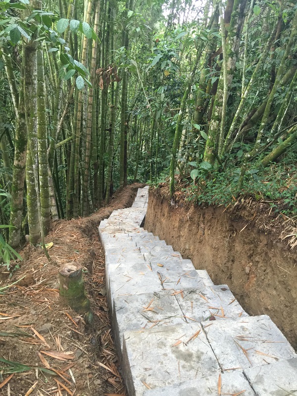 Imagen alusiva a Entra en servicio nuevo sendero Jardín Botánico