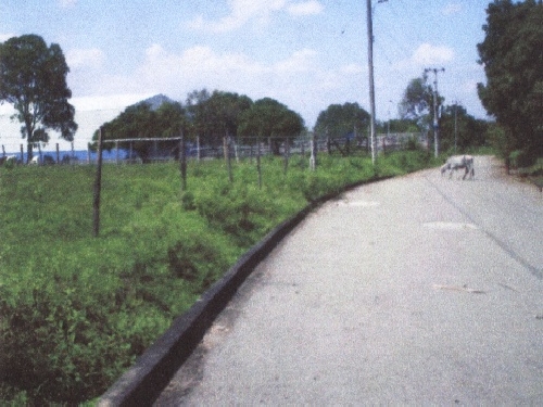 Imagen alusiva a Lote 12A Santander Quilichao Parcelación el Paraíso