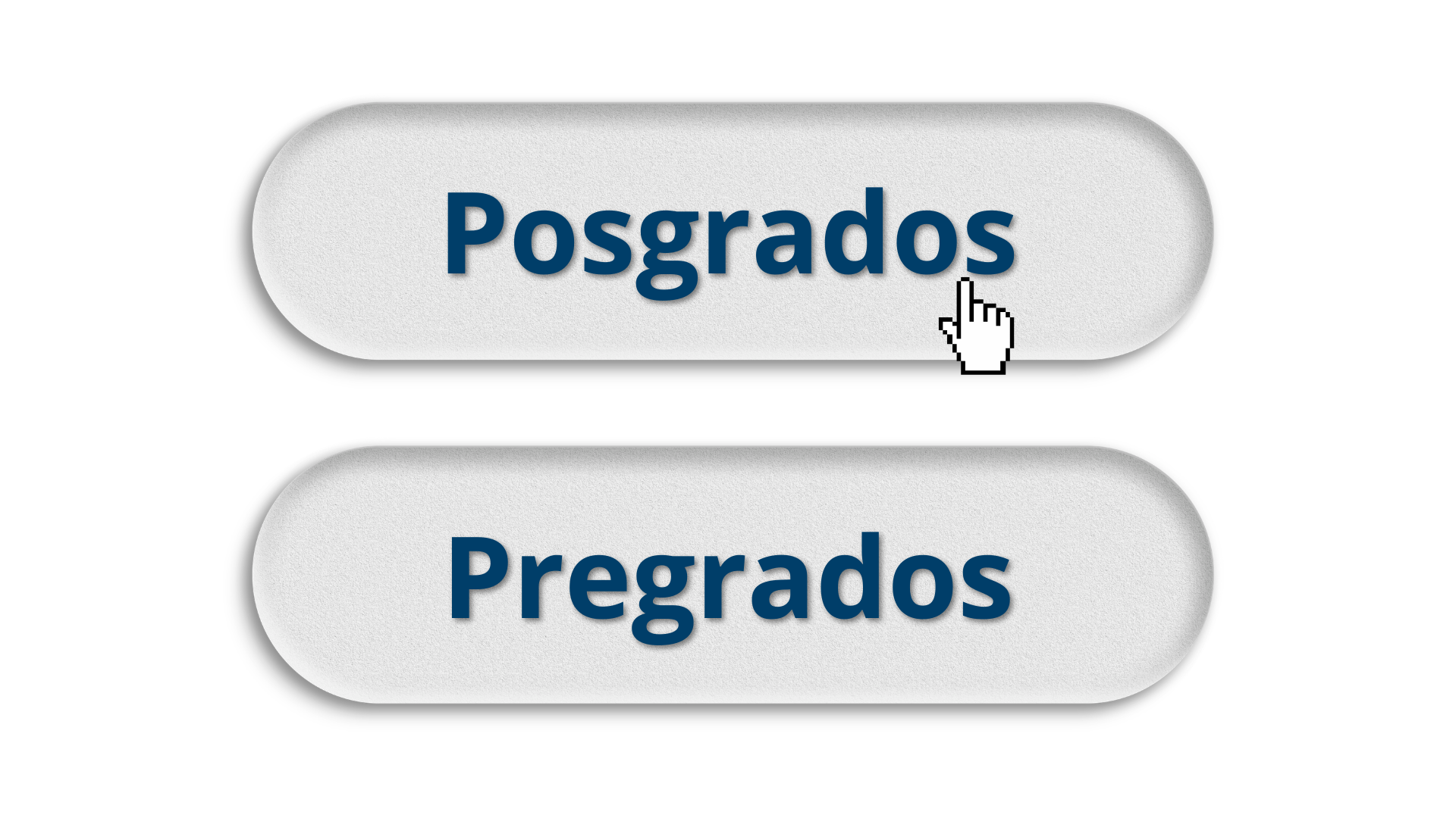 Programas Facultad de Tecnología
