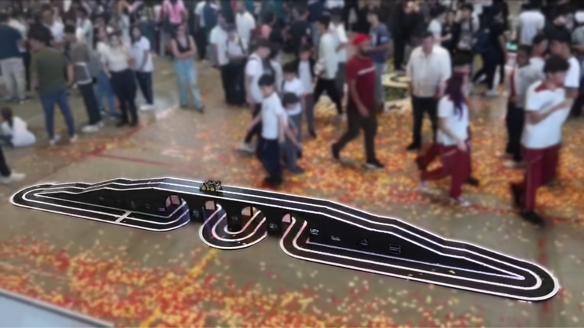 Sumo RC