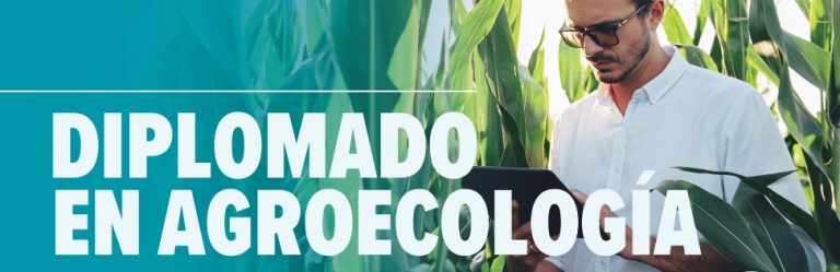 <em>¡Inscríbete en nuestro diplomado en Agroecología y descubre un futuro sostenible para la agricultura!</em>