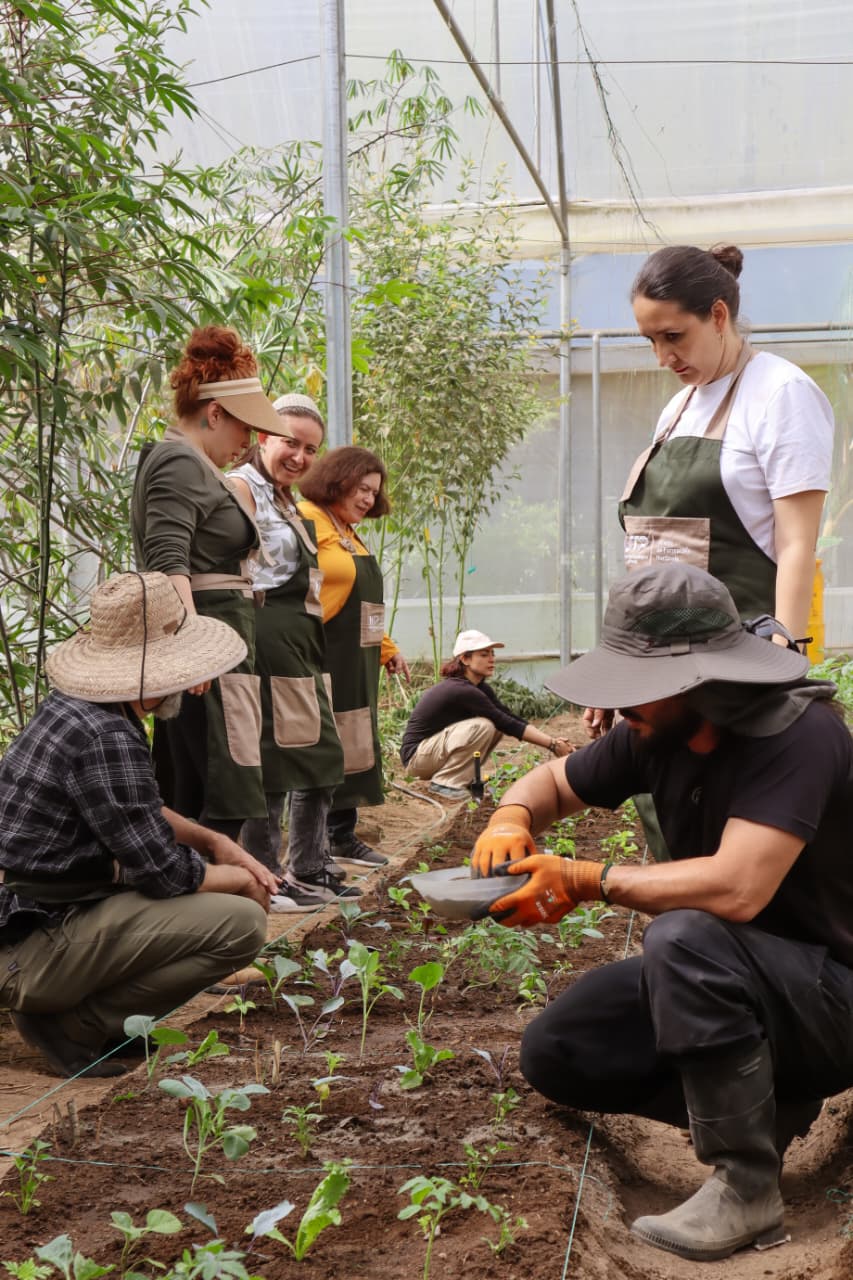 Siembra, Conecta y Florece: Taller de Huertas Caseras
